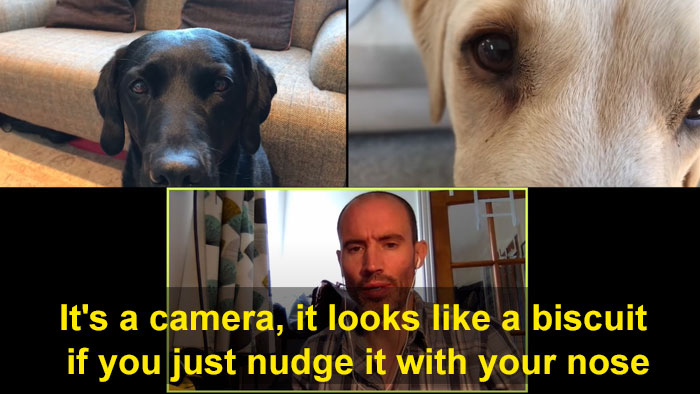 BBC Sports Broadcaster Stuck With Nothing To Report Decides To Hold A Meeting With His Two Dogs And The Video Goes Viral