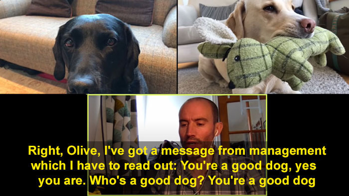 BBC Sports Broadcaster Stuck With Nothing To Report Decides To Hold A Meeting With His Two Dogs And The Video Goes Viral