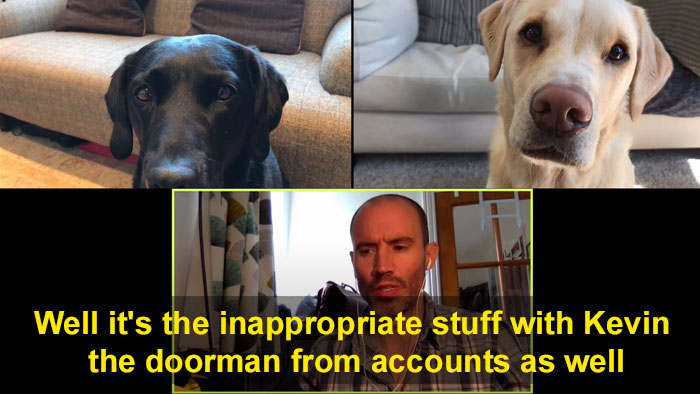 BBC Sports Broadcaster Stuck With Nothing To Report Decides To Hold A Meeting With His Two Dogs And The Video Goes Viral