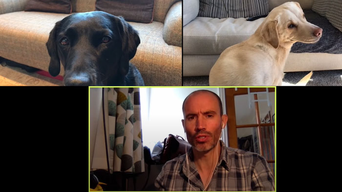 BBC Sports Broadcaster Stuck With Nothing To Report Decides To Hold A Meeting With His Two Dogs And The Video Goes Viral