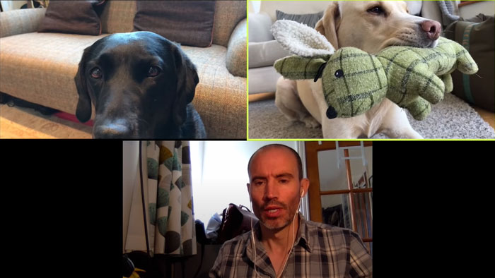 BBC Sports Broadcaster Stuck With Nothing To Report Decides To Hold A Meeting With His Two Dogs And The Video Goes Viral