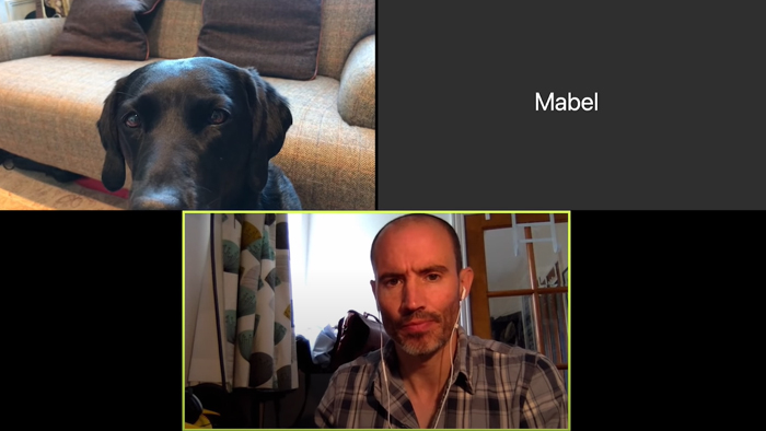 BBC Sports Broadcaster Stuck With Nothing To Report Decides To Hold A Meeting With His Two Dogs And The Video Goes Viral