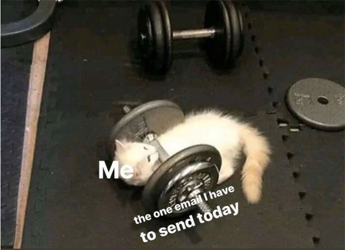 I'm Only One Smol Cat