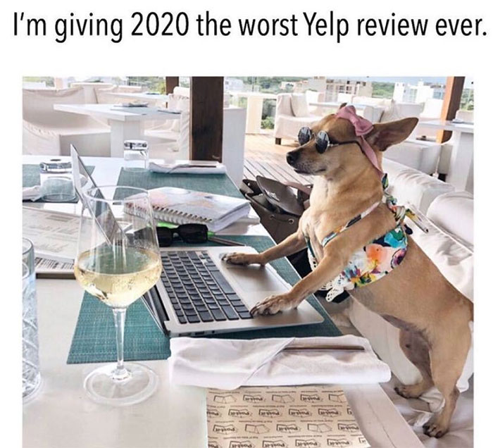 Zero Stars. Do Not Recommend.