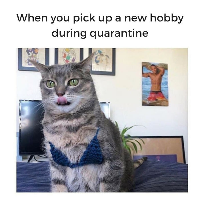 Coronavirus-Jokes-Quarantine