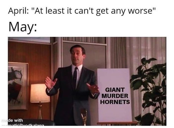 Coronavirus-Jokes-Quarantine