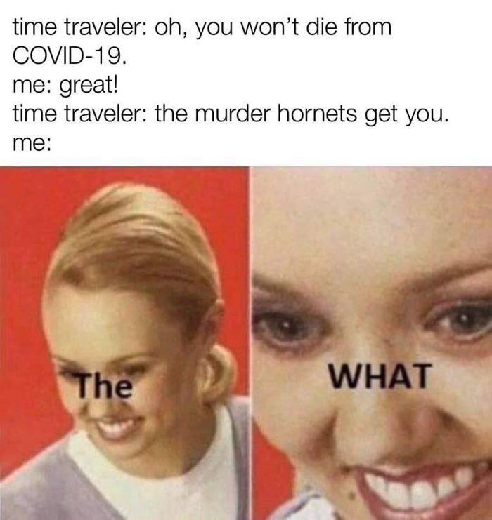 Coronavirus-Jokes-Quarantine