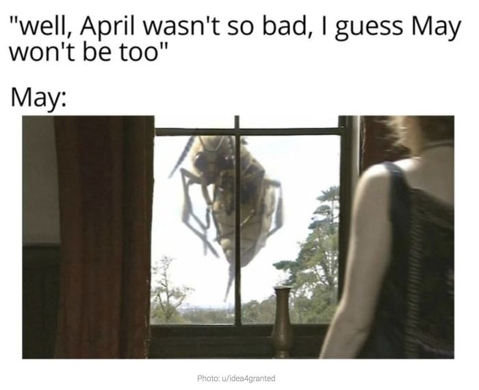 Coronavirus-Jokes-Quarantine