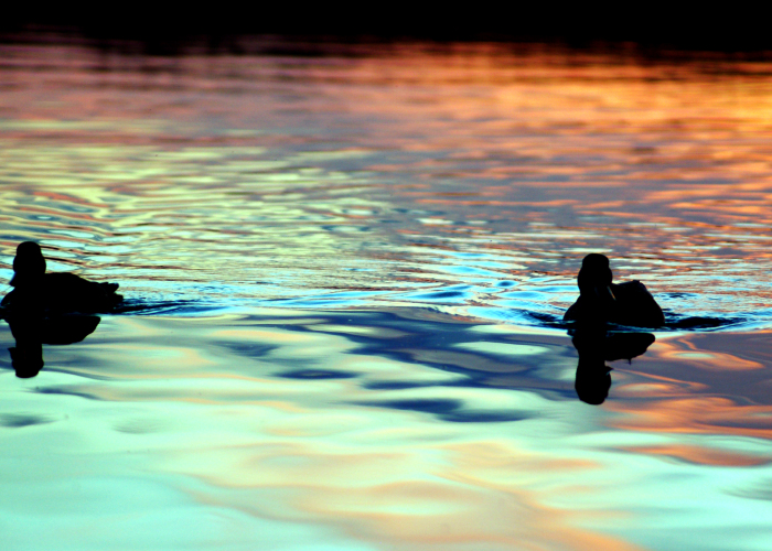 My 27 Pictures Of Sunrises And Sunsets In Sweden