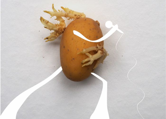 I Created Art With Potatoes During Quarantine (11 Pics)