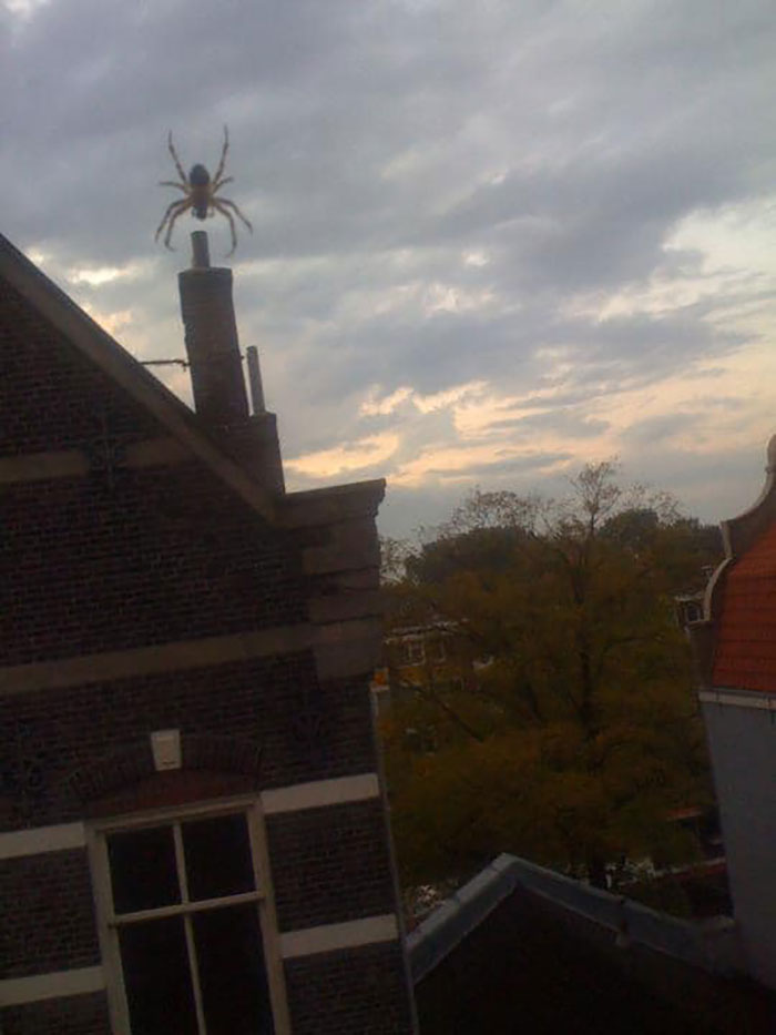 I Wonder If My Neighbour Should Be Worried?