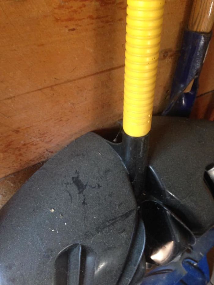 Well... There Was A Frog Here