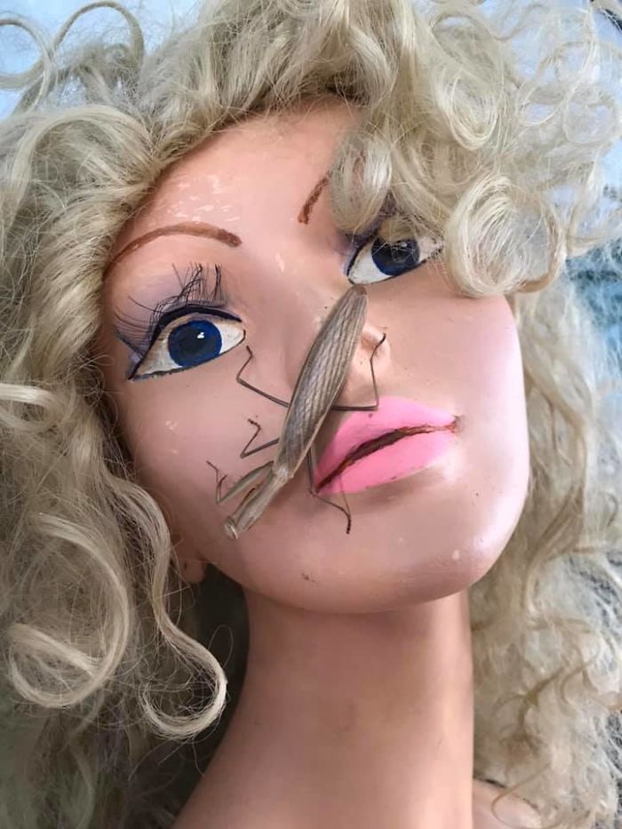 One Day At An Outdoor Antique Market