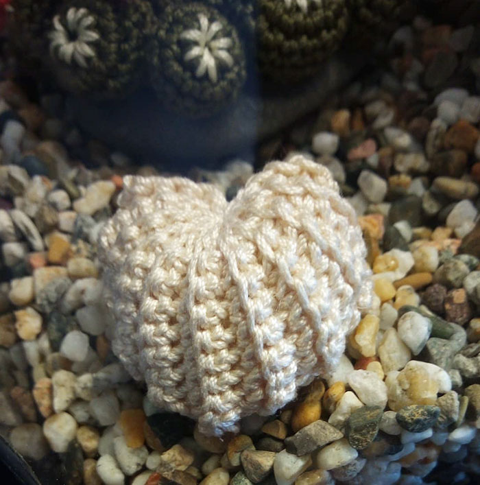 Italian Yarn Artist Created A Stunning Crocheted Aquarium