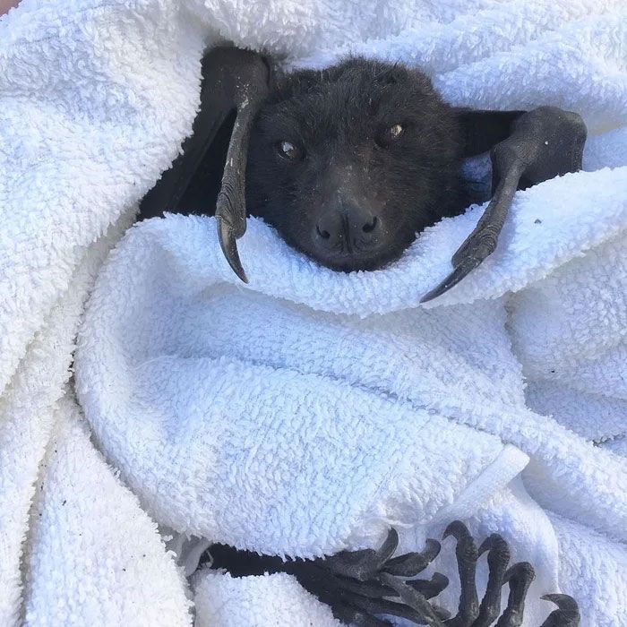 Probably A Monday Morning For This One