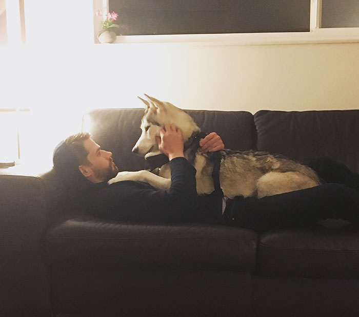 What Did We Do To Deserve Dogs?