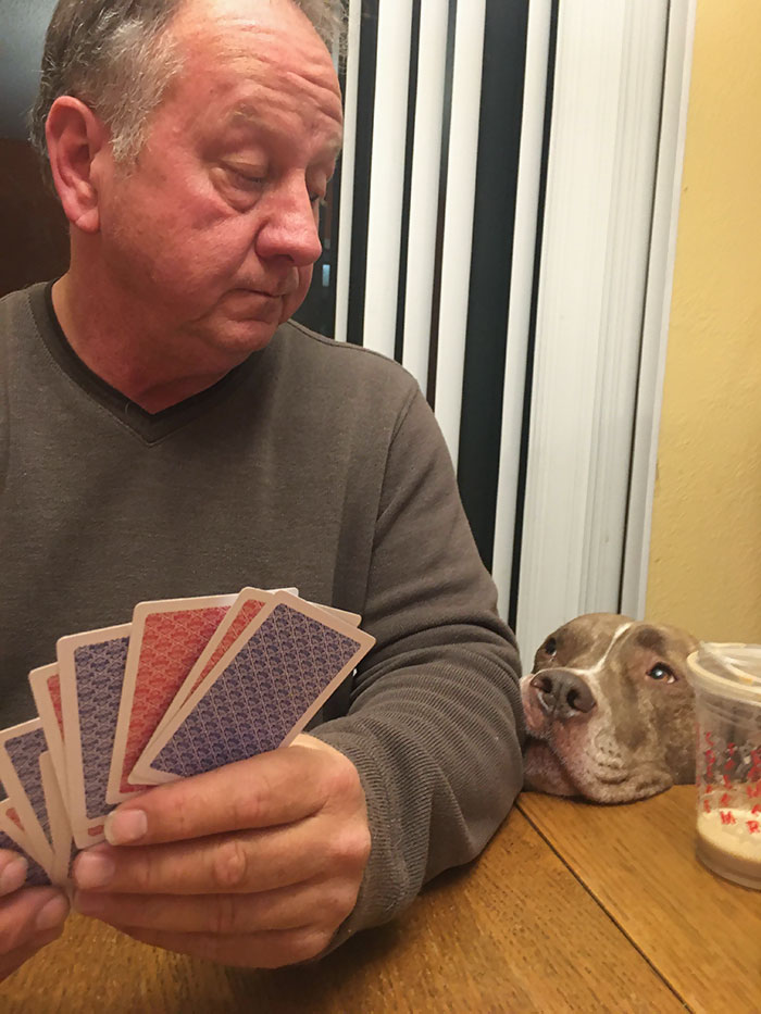 Tiggy And My Dad 'Mirin Each Other Over A Game Of Cards