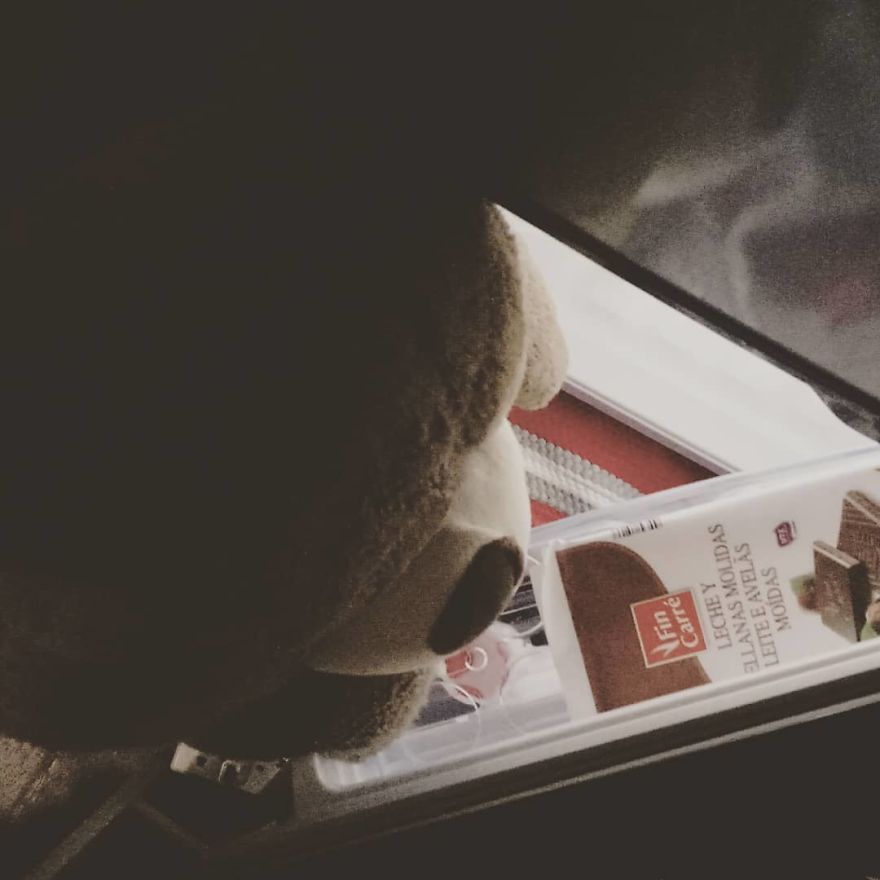 The Adventures Of Milo The Bear