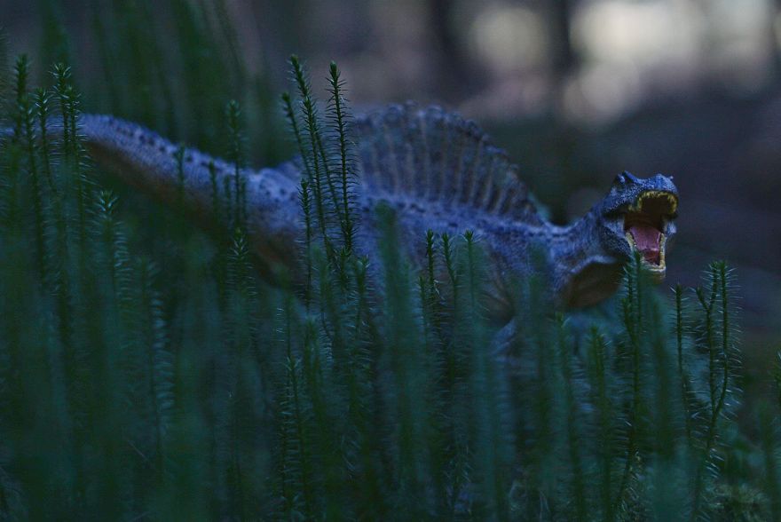 Mother Of 2 Captures The Magic World Of Toys During Quarantine