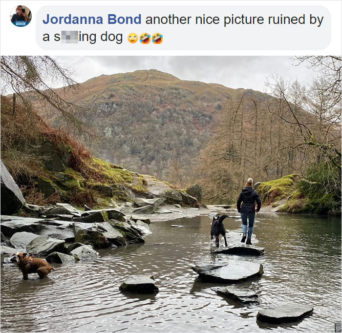 Guy Asks If Other Dogs Poop In Weird Positions Like His Pooch Does, Receives 35 Pics That Answer His Question