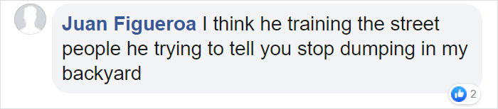 Dolphin Discovers Humans Like It When He Brings Them Gifts From The Bottom Of The Ocean, Develops A Habit Of Doing So Dolphin Discovers Humans Like It When He Brings Them Gifts From The Bottom Of The Ocean, Develops A Habit Of Doing So