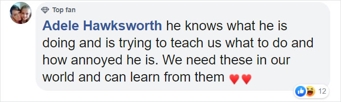 Dolphin Discovers Humans Like It When He Brings Them Gifts From The Bottom Of The Ocean, Develops A Habit Of Doing So Dolphin Discovers Humans Like It When He Brings Them Gifts From The Bottom Of The Ocean, Develops A Habit Of Doing So