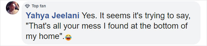 Dolphin Discovers Humans Like It When He Brings Them Gifts From The Bottom Of The Ocean, Develops A Habit Of Doing So Dolphin Discovers Humans Like It When He Brings Them Gifts From The Bottom Of The Ocean, Develops A Habit Of Doing So