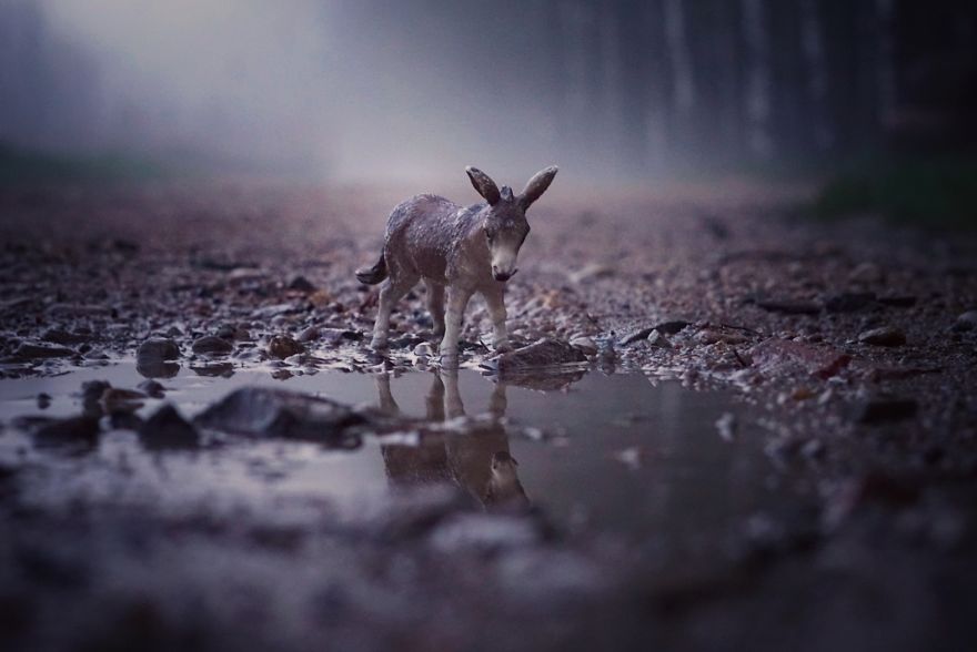 Mother Of 2 Captures The Magic World Of Toys During Quarantine