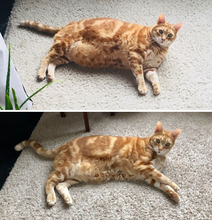 Before And After, Almost Two Years Between