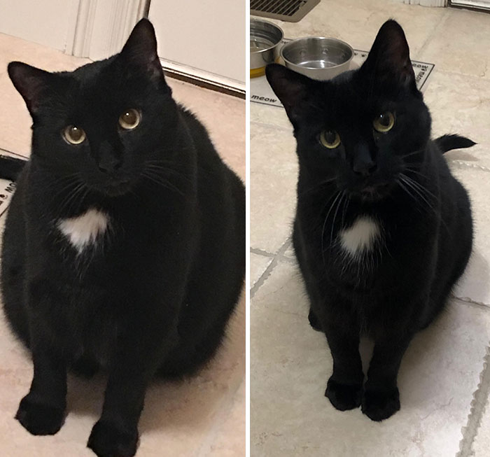 He Went From 20 To 14 Pounds