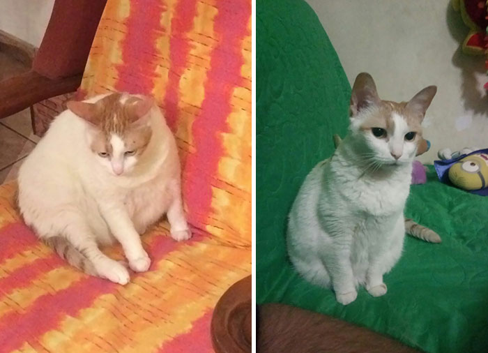 Former Chonker Getting In Shape, She Looks As Proud As Us