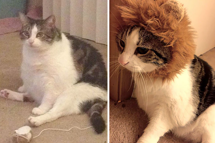 Meatball Baby, Before And After Rescue. Her Real Name Is Gracie Sue