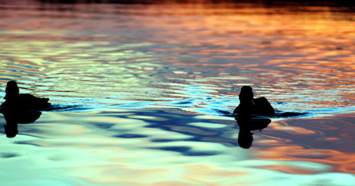 My 27 Pictures Of Sunrises And Sunsets In Sweden