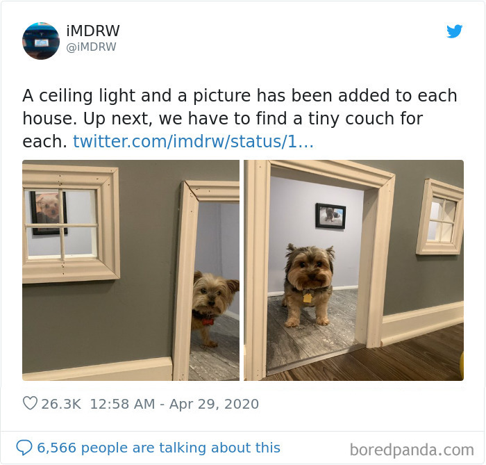 Woman Documents Her Daughter Turning A Spare Room Into A House For Their Dogs Woman Documents Her Daughter Turning A Spare Room Into A House For Their Dogs