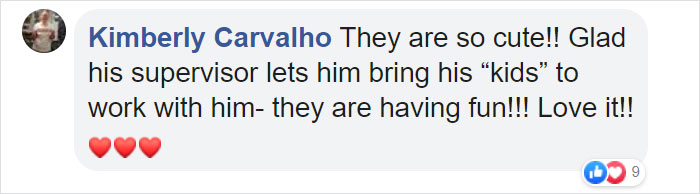 This Fedex Driver Takes His Puppies On Deliveries With Him After Their Daycare Closes