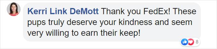 This Fedex Driver Takes His Puppies On Deliveries With Him After Their Daycare Closes This Fedex Driver Takes His Puppies On Deliveries With Him After Their Daycare Closes