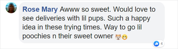 This Fedex Driver Takes His Puppies On Deliveries With Him After Their Daycare Closes