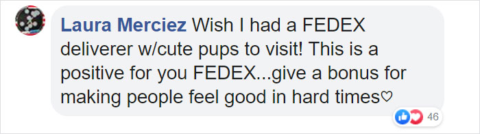 This Fedex Driver Takes His Puppies On Deliveries With Him After Their Daycare Closes This Fedex Driver Takes His Puppies On Deliveries With Him After Their Daycare Closes