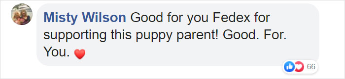 This Fedex Driver Takes His Puppies On Deliveries With Him After Their Daycare Closes This Fedex Driver Takes His Puppies On Deliveries With Him After Their Daycare Closes