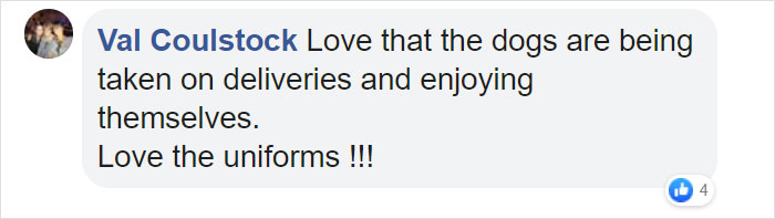 This Fedex Driver Takes His Puppies On Deliveries With Him After Their Daycare Closes