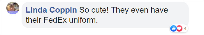This Fedex Driver Takes His Puppies On Deliveries With Him After Their Daycare Closes This Fedex Driver Takes His Puppies On Deliveries With Him After Their Daycare Closes