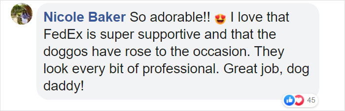 This Fedex Driver Takes His Puppies On Deliveries With Him After Their Daycare Closes