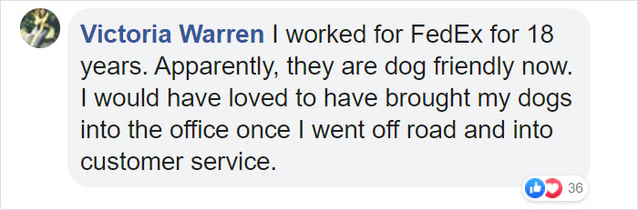 This Fedex Driver Takes His Puppies On Deliveries With Him After Their Daycare Closes This Fedex Driver Takes His Puppies On Deliveries With Him After Their Daycare Closes
