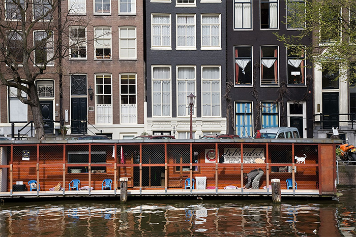 People Are Saying That This Floating Cat Sanctuary Is Amsterdam's Best-Hidden Attraction People Are Saying That This Floating Cat Sanctuary Is Amsterdam's Best-Hidden Attraction