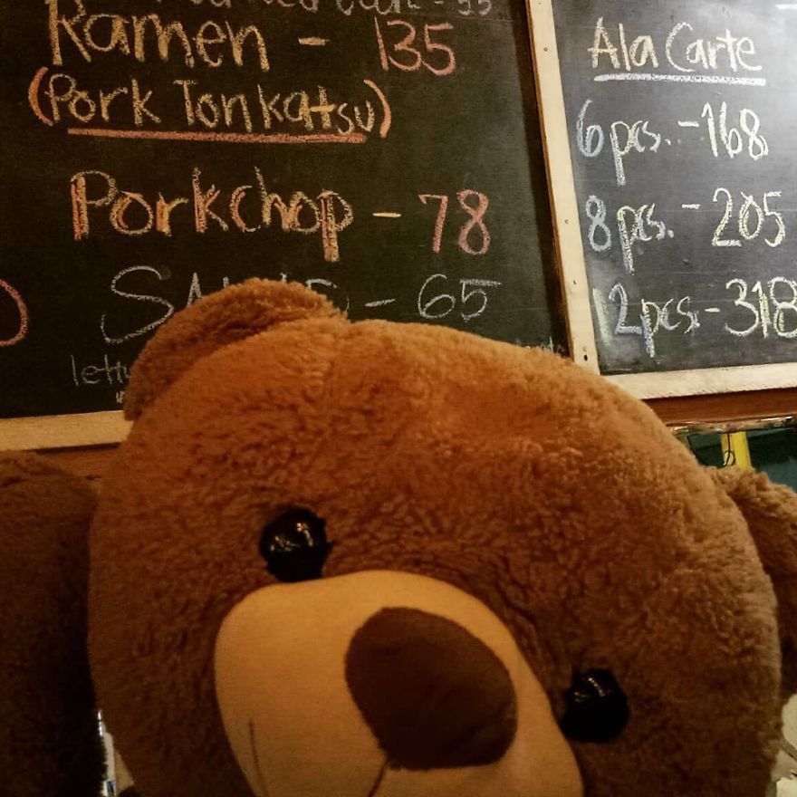 The Adventures Of Milo The Bear