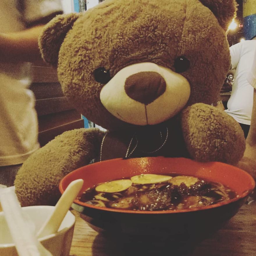 The Adventures Of Milo The Bear