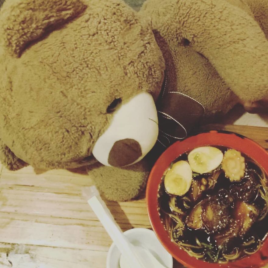 The Adventures Of Milo The Bear