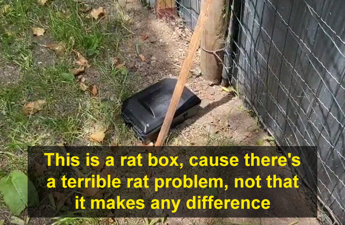 Guy Films A Hilarious Apartment Tour For His Letting Agent After Being Forced Out Of It By The Landlord, Doesn't Let Any Problem Go Unnoticed