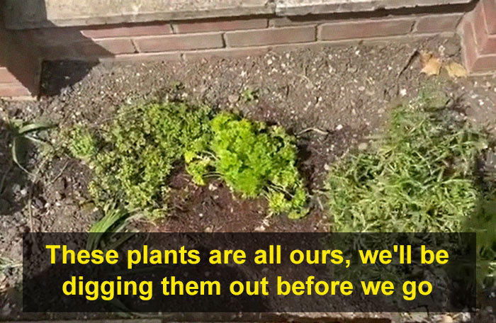 Guy Films A Hilarious Apartment Tour For His Letting Agent After Being Forced Out Of It By The Landlord, Doesn't Let Any Problem Go Unnoticed Guy Films A Hilarious Apartment Tour For His Letting Agent After Being Forced Out Of It By The Landlord, Doesn't Let Any Problem Go Unnoticed