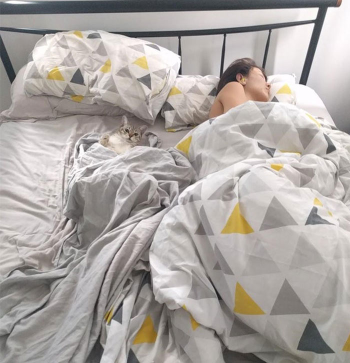 Caught My Wife With The Cat This Morning